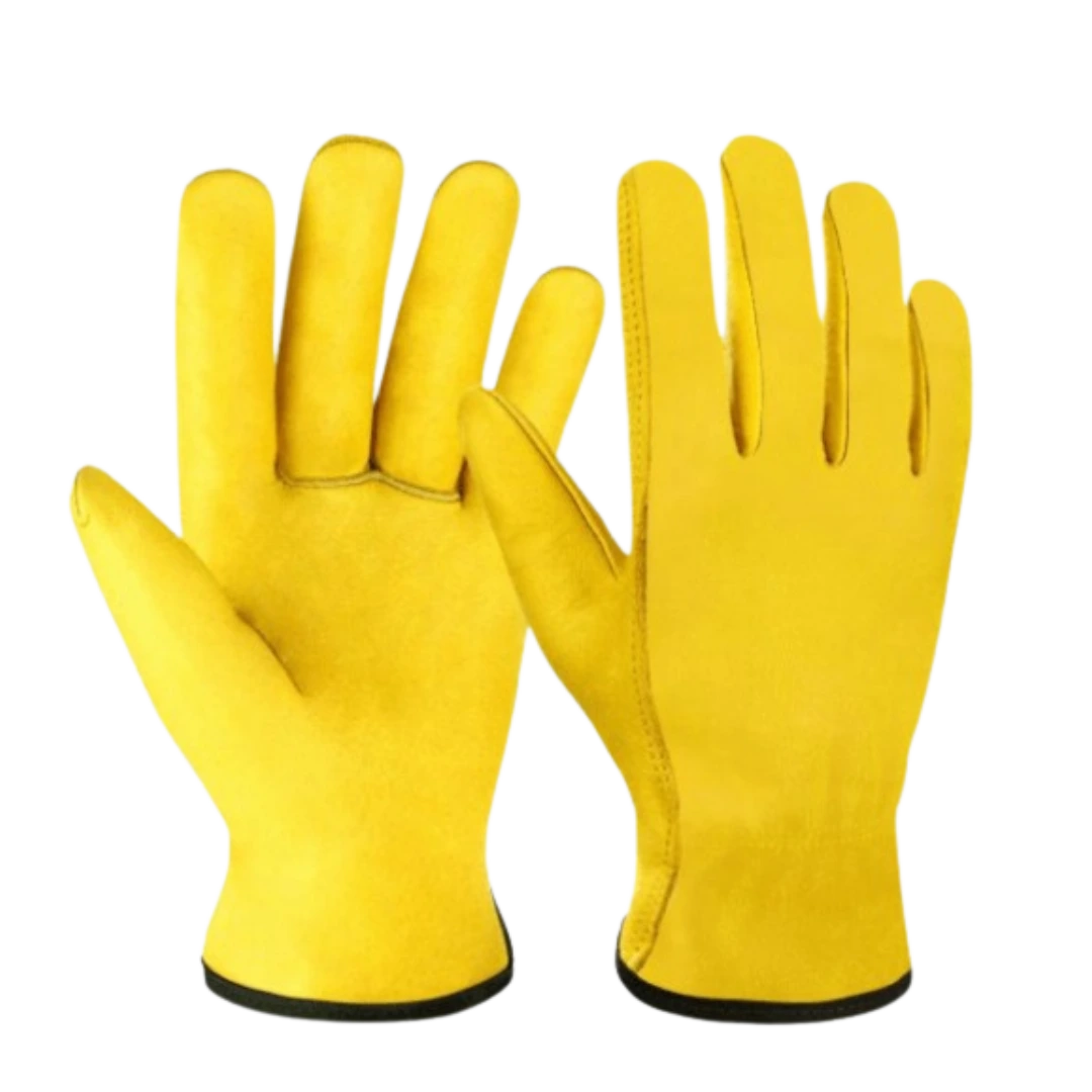 Yellow Goatskin Leather Driver Gloves with Keystone Thumb A pair of premium Yellow Goatskin Leather Driver Gloves with a keystone thumb and vibrant red piping on a white background.